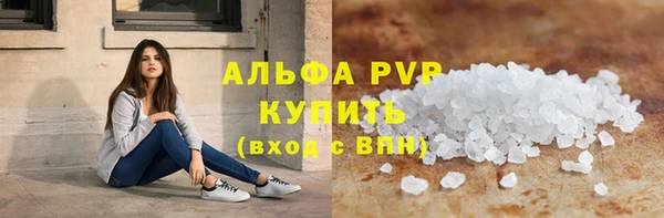 хмурый Аркадак