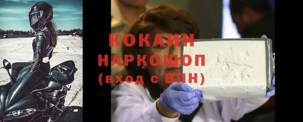 хмурый Аркадак