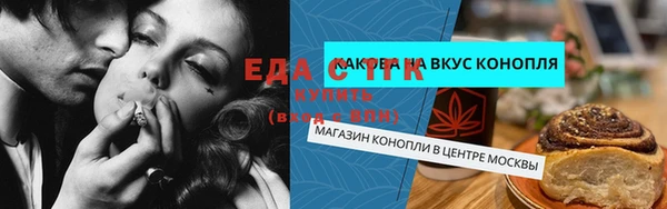 хмурый Аркадак