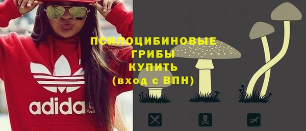 герыч Арсеньев