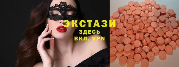 хмурый Аркадак
