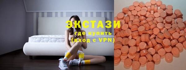 хмурый Аркадак