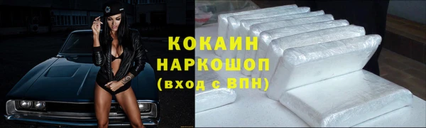 хмурый Аркадак
