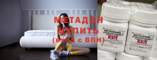 хмурый Аркадак