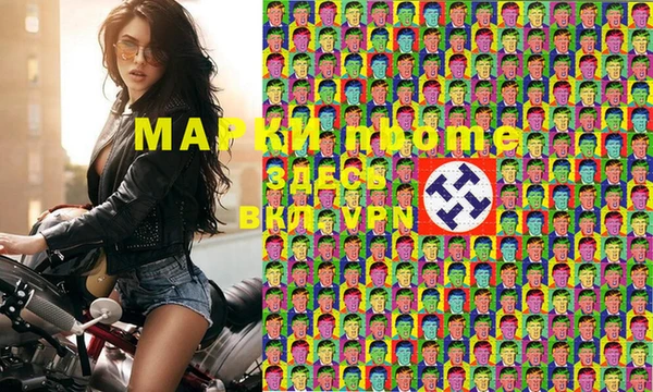 хмурый Аркадак
