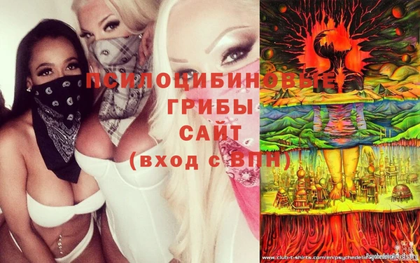 герыч Арсеньев