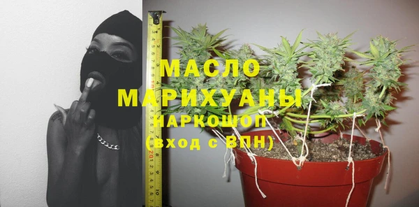 хмурый Аркадак