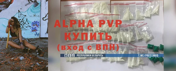 хмурый Аркадак