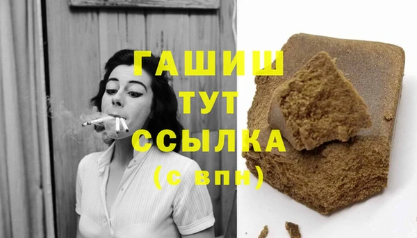 хмурый Аркадак