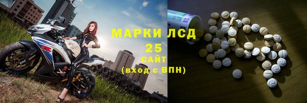 хмурый Аркадак