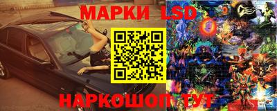 индика Беслан