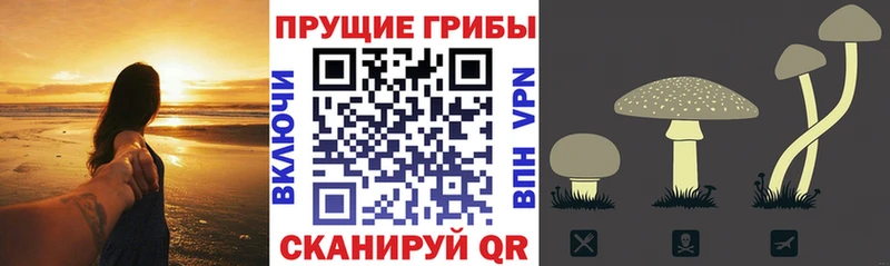 Псилоцибиновые грибы мухоморы  даркнет клад  Гуково  дарнет шоп 