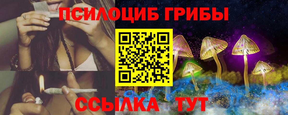 Псилоцибиновые грибы ЛСД Гуково