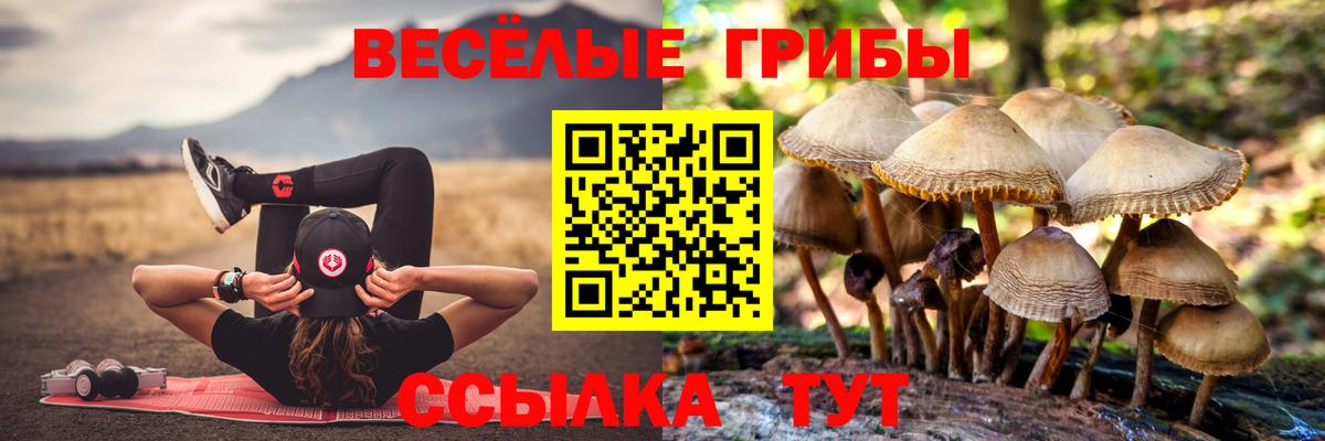 Гуково  Галлюциногенные грибы Psilocybine cubensis  Вход с VPN 
