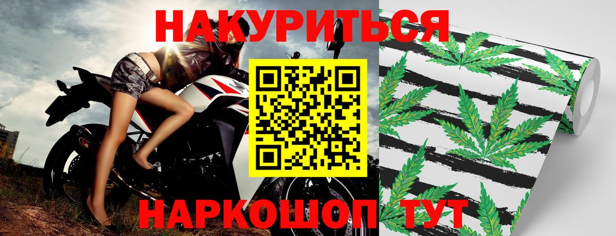 Марихуана Amnesia  МАРИХУАНА OG Kush  Гуково  МАРИХУАНА сатива 